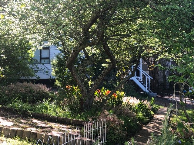 2 Bedroom Property for Sale in Knysna Central Western Cape